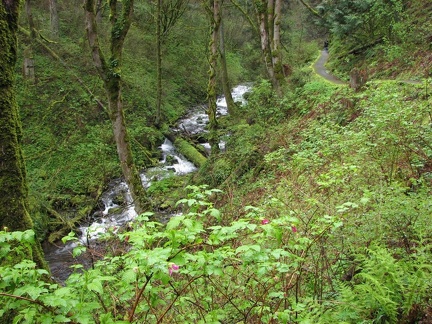 Latourell Creek from the trail