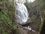 University Falls, OR