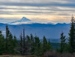 Mt. Hood from Big Huckleberry Mountain