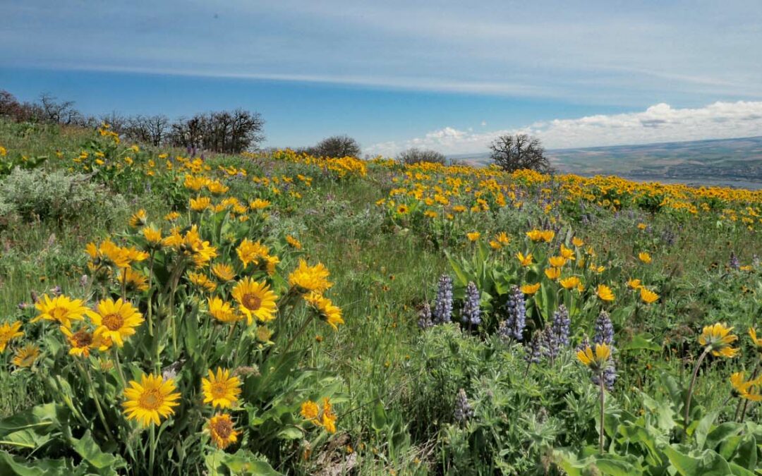 Sevenmile Hill, OR