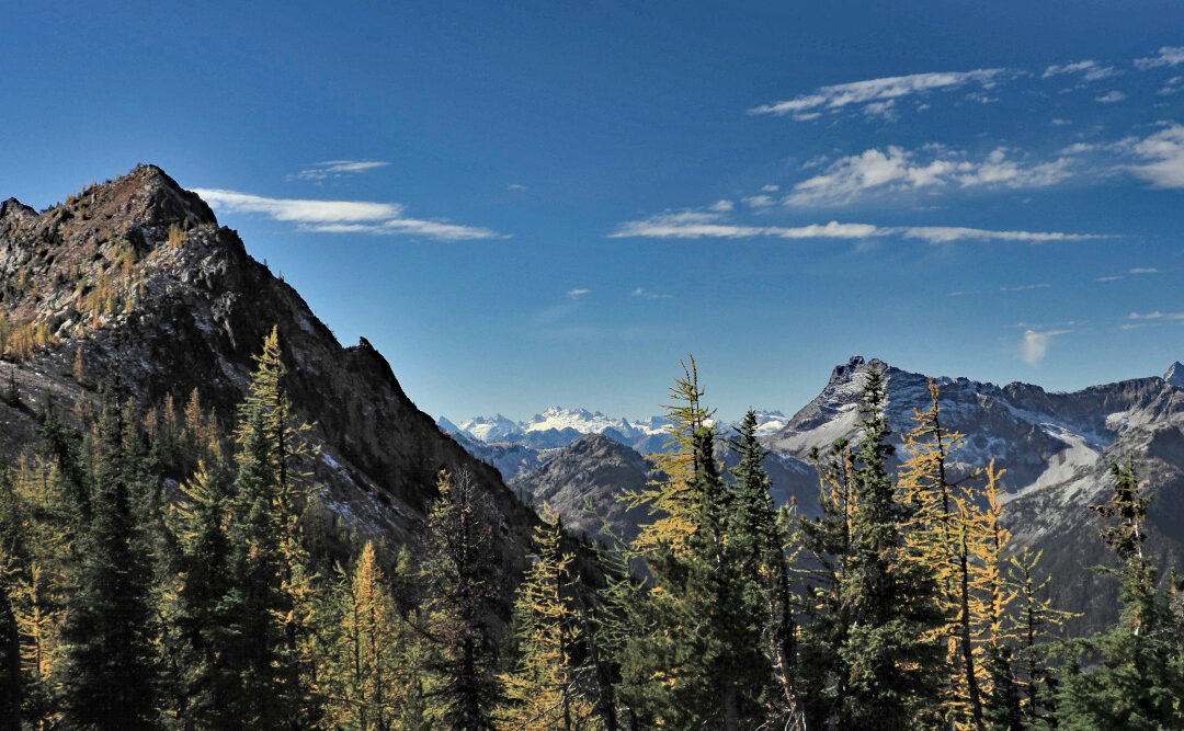 Cutthroat Pass, WA