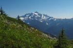 Mt. Shuksan on Yellow Aster Butte Trail, WA