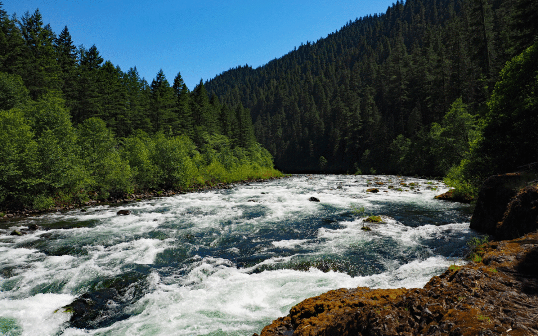 Clackamas River Trail OR Eyehike Your Guide To Hiking