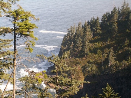 Looking north from the Cape Lookout trail