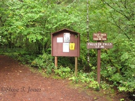 Trailhead picture for Falls Creek Falls 152A.