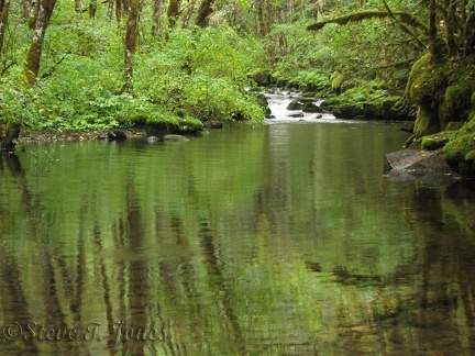 Falls Creek cascades into this lovely still water at the junction of trails 152 and 152A.