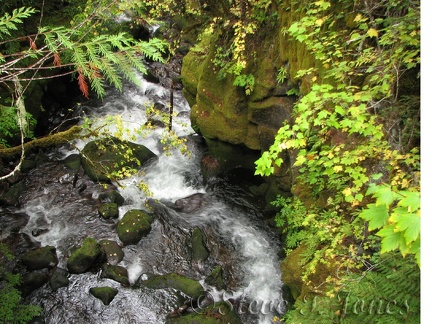 Looking down from the suspension bridge provides a great view of Falls Creek.