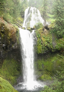 Here is the lower 2 falls of Falls Creek. The creek makes a wonderful sound as it plunges into the pool below the falls.