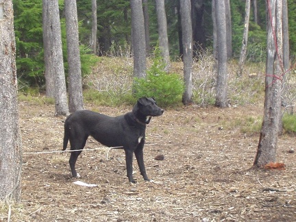 Paulina Lake 055