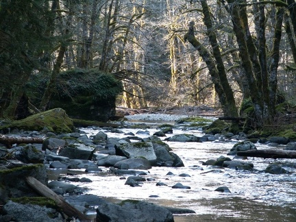 Siouxon Creek as it rushes down the valley.